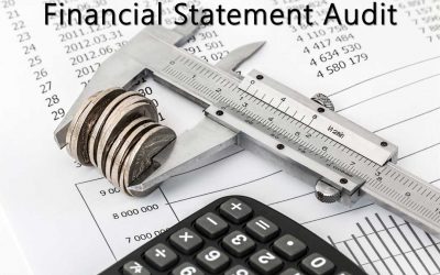 Audited Financial Statement