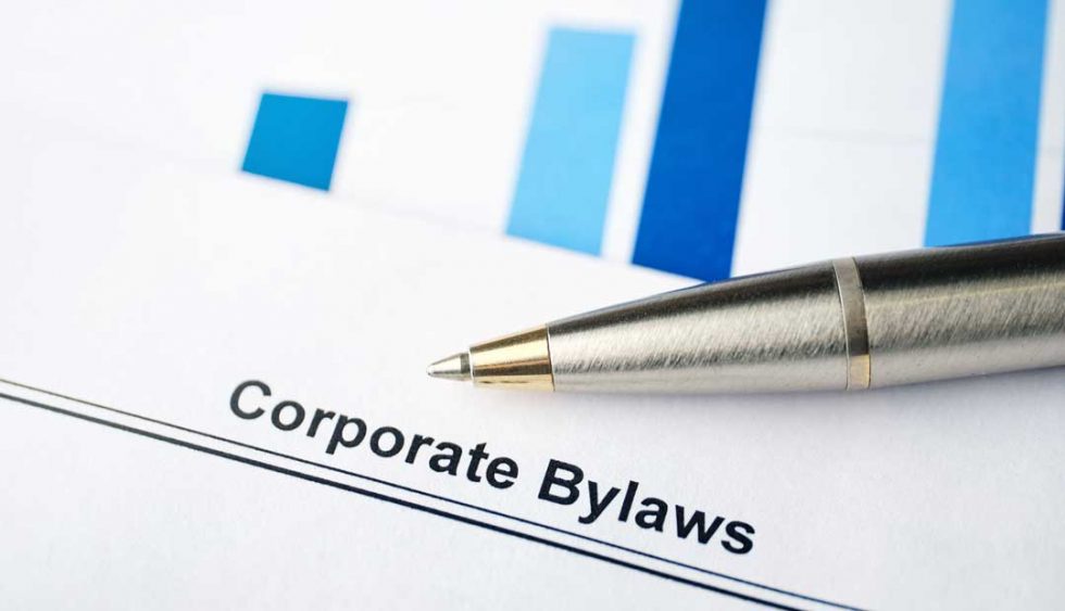 Understanding the Shareholder Loan RGB Accounting